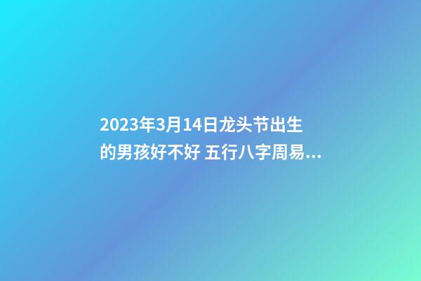 2023年3月14日龙头节出生的男孩好不好 五行八字周易起名